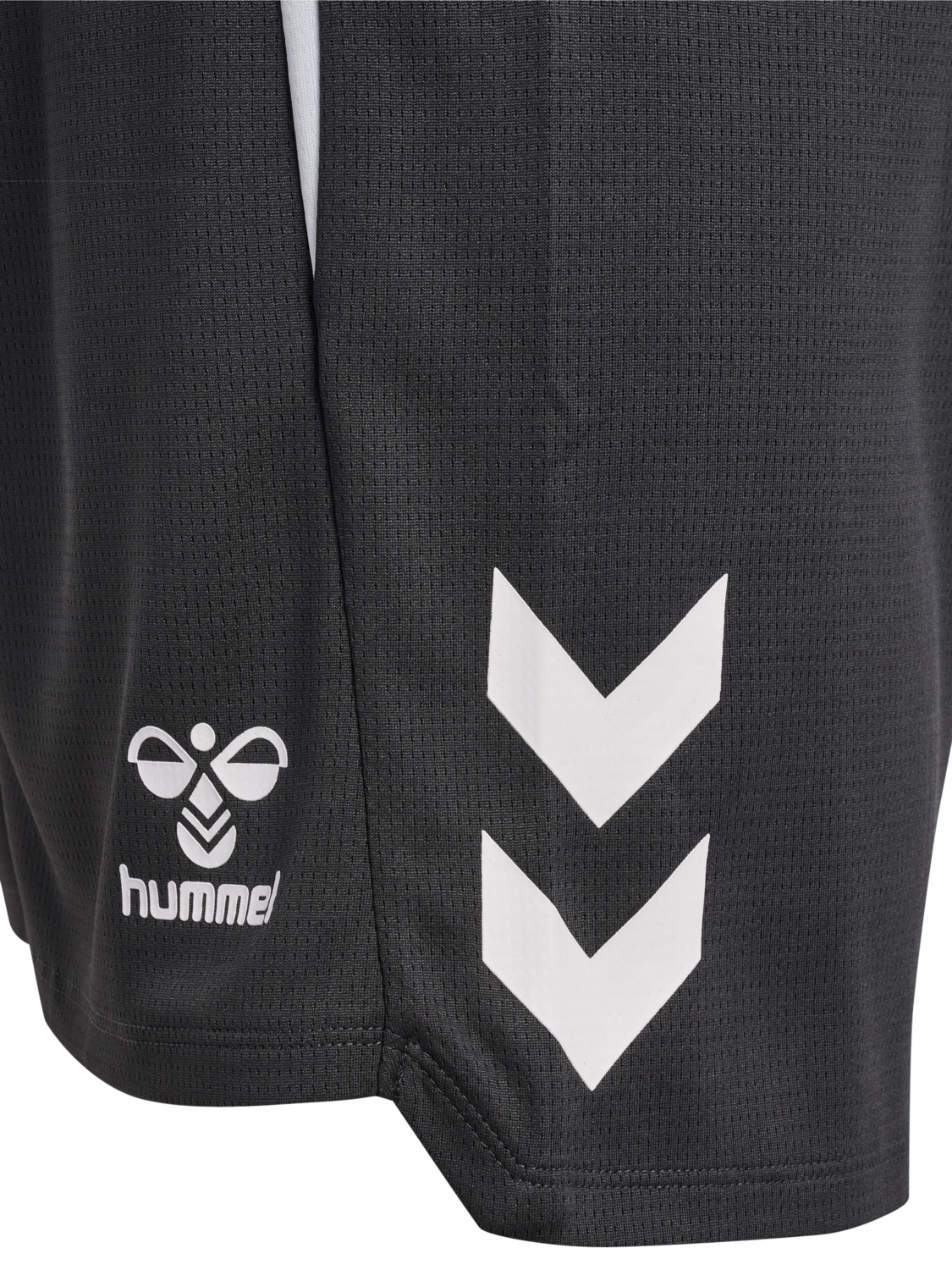 hmlLEAD 2.0 SHORTS, ASPHALT, packshot